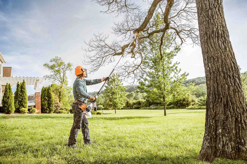 best tree service st catharines on