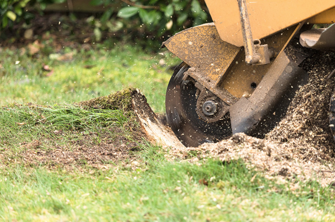 st catharines stump grinding services