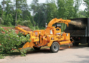 reliable tree care company fonthill on